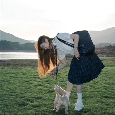 小镇猪事
